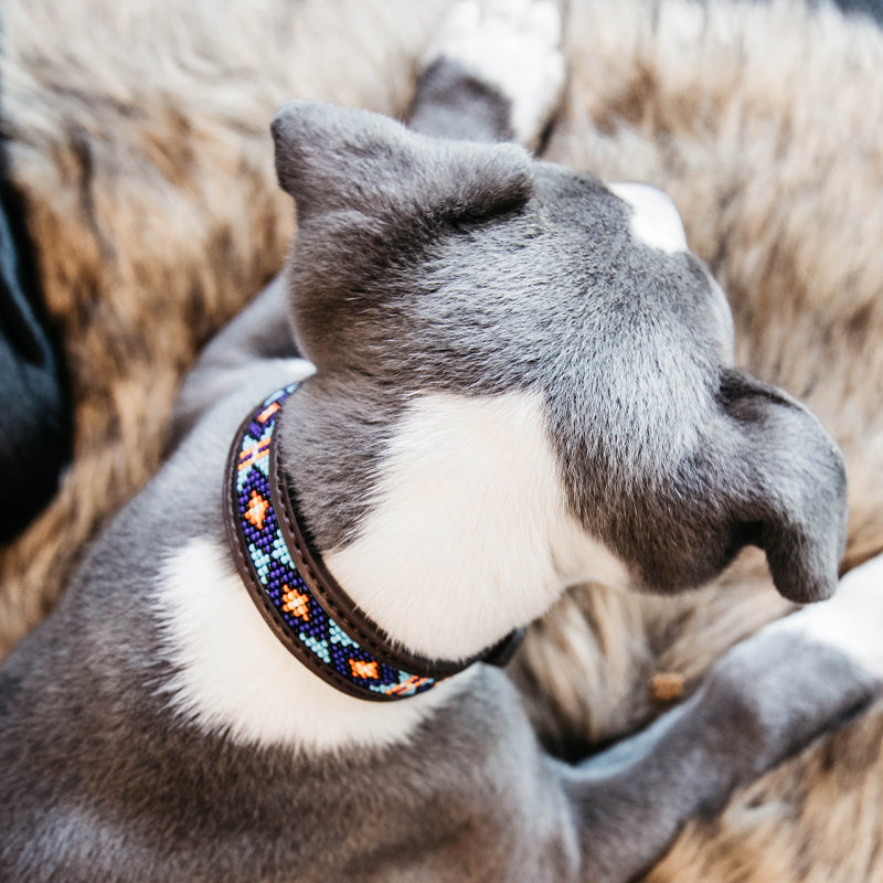 Kentucky Dogwear - Handmade Beaded Dog Collar Blue | - Ohlala
