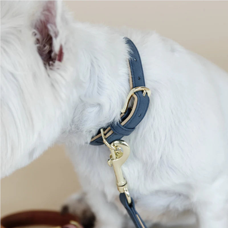 Kentucky Dogwear - Hundehalsband Vegan Leather navy/beige | - Ohlala