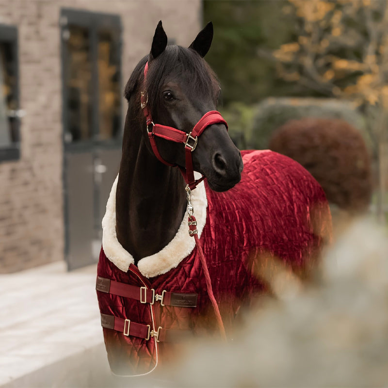 Kentucky Horsewear - Velvet halster bordeaux | - Ohlala