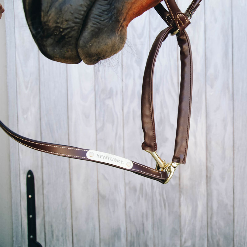 Kentucky Horsewear - レザーカバー付きプレゼンテーション用ロンジ | - Ohlala