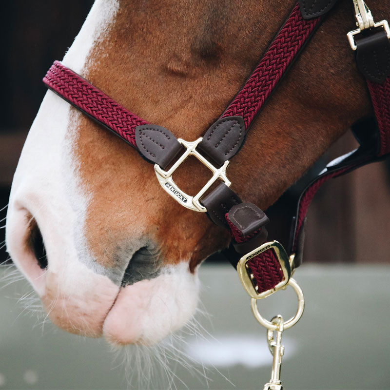 Kentucky Horsewear - Braided nylon halter bordeaux | - Ohlala