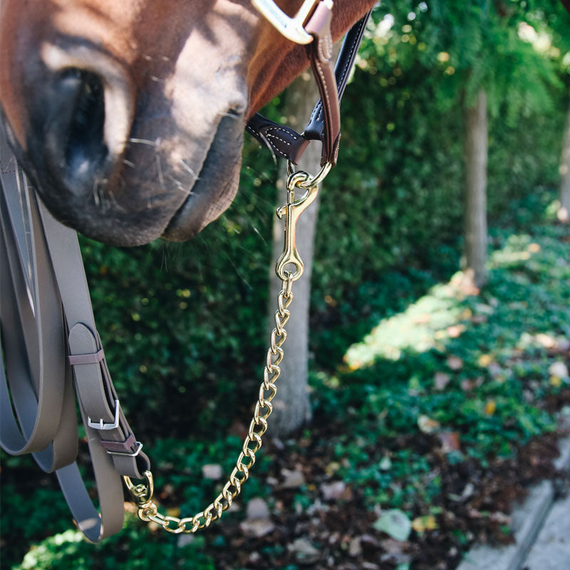 Kentucky Horsewear - Łańcuch ogierowy | - Ohlala