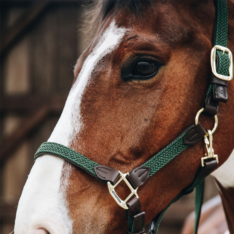 Kentucky Horsewear - Kantar nylonowy pleciony oliwkowy | - Ohlala