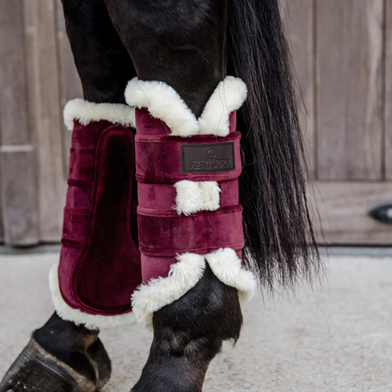 Kentucky Horsewear - Polaina de cuero velvet contrast burdeos | - Ohlala