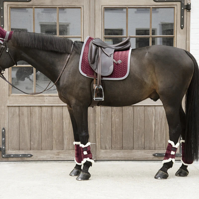 Kentucky Horsewear - Polaina de cuero velvet contrast burdeos | - Ohlala