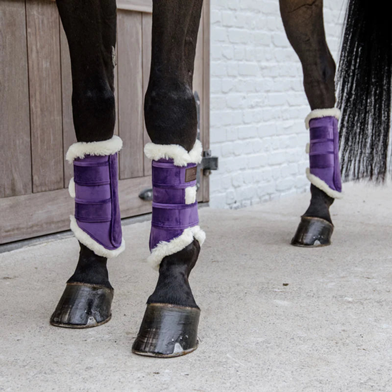 Kentucky Horsewear - ベルベットコントラスト レザーゲートル ロイヤルパープル | - Ohlala
