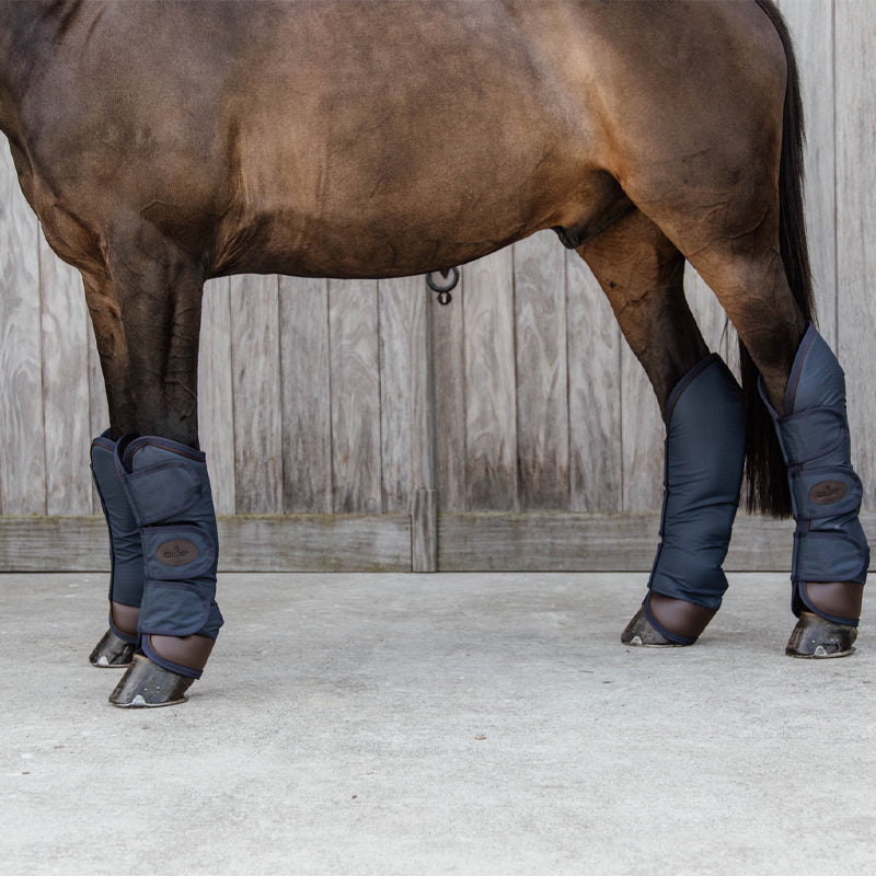 Kentucky Horsewear - Parastinchi da trasporto blu navy | - Ohlala