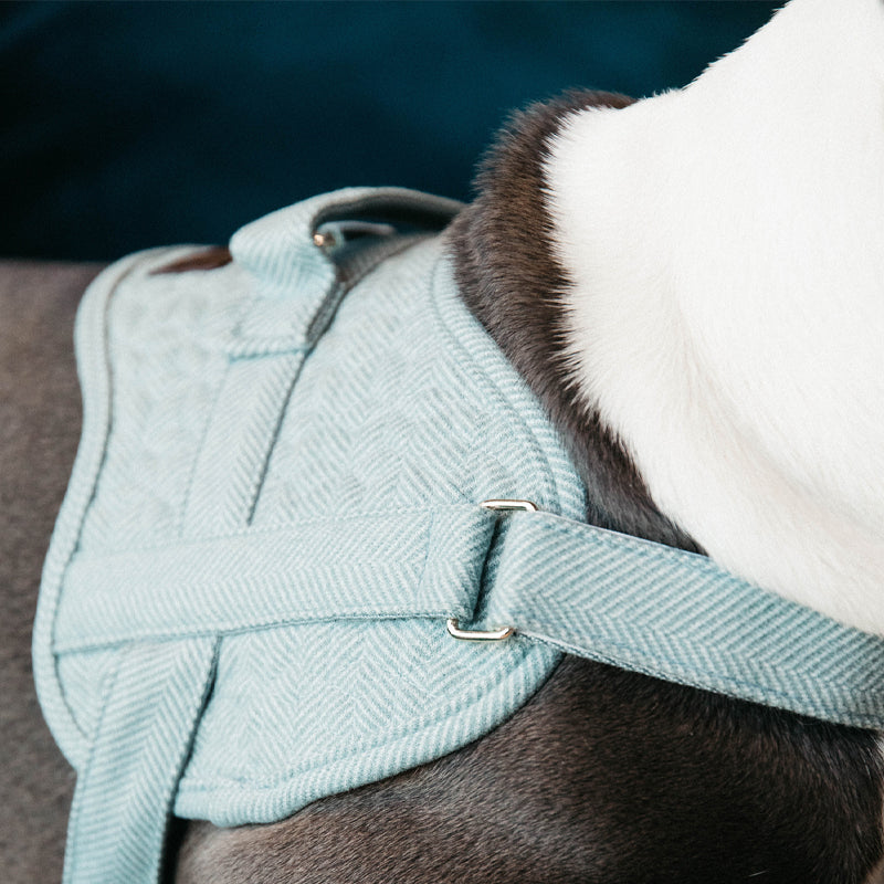 Kentucky Dogwear - Tuig voor honden Body safe Wool hemelsblauw | - Ohlala