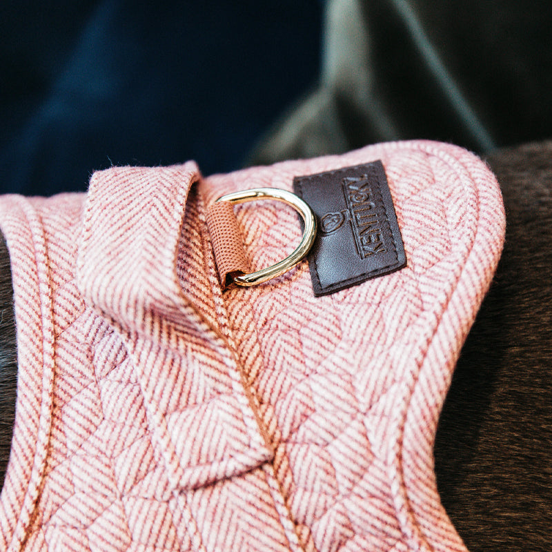 Kentucky Dogwear - Body safe Wool rose dog harness | - Ohlala