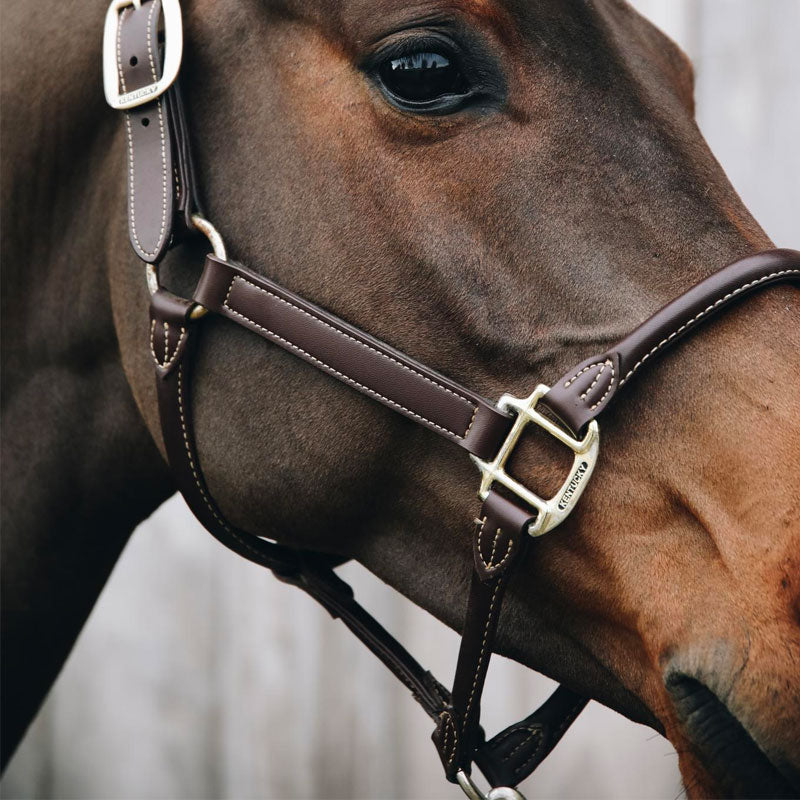 Kentucky Horsewear - Cavezza cavallo anatomica | - Ohlala
