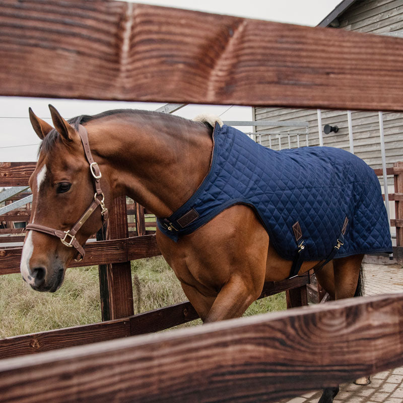 Kentucky Horsewear - ウォーカーブランケット ネイビー 160g | - Ohlala