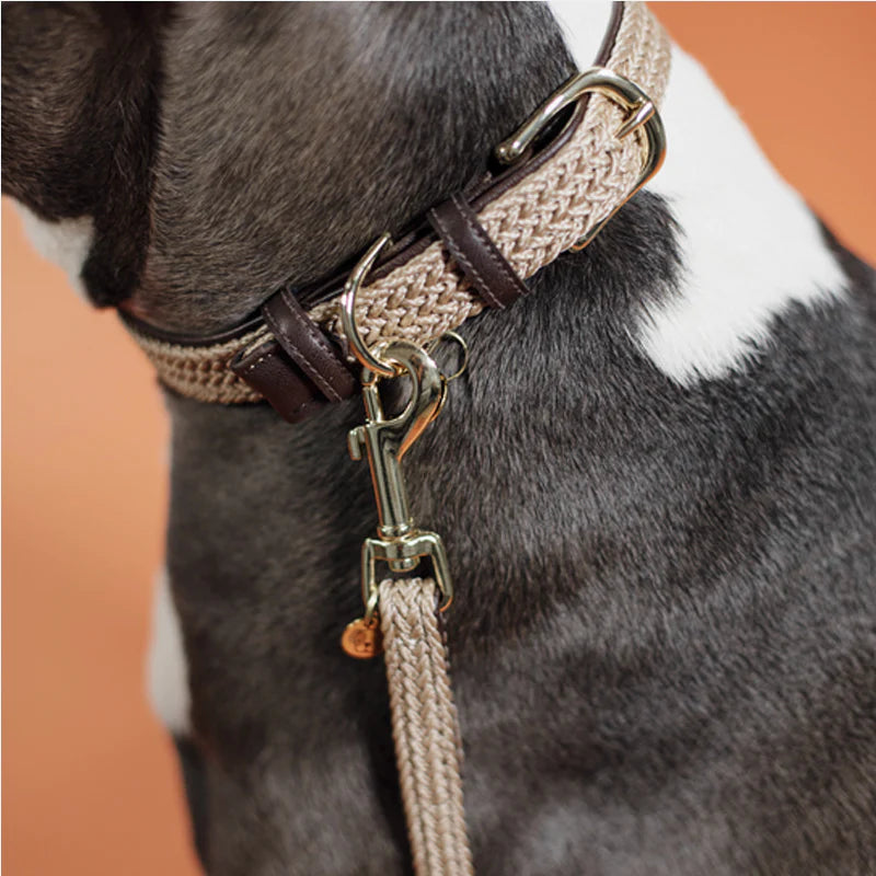 Kentucky Dogwear - Beige Braided Nylon Dog Lead | - Ohlala