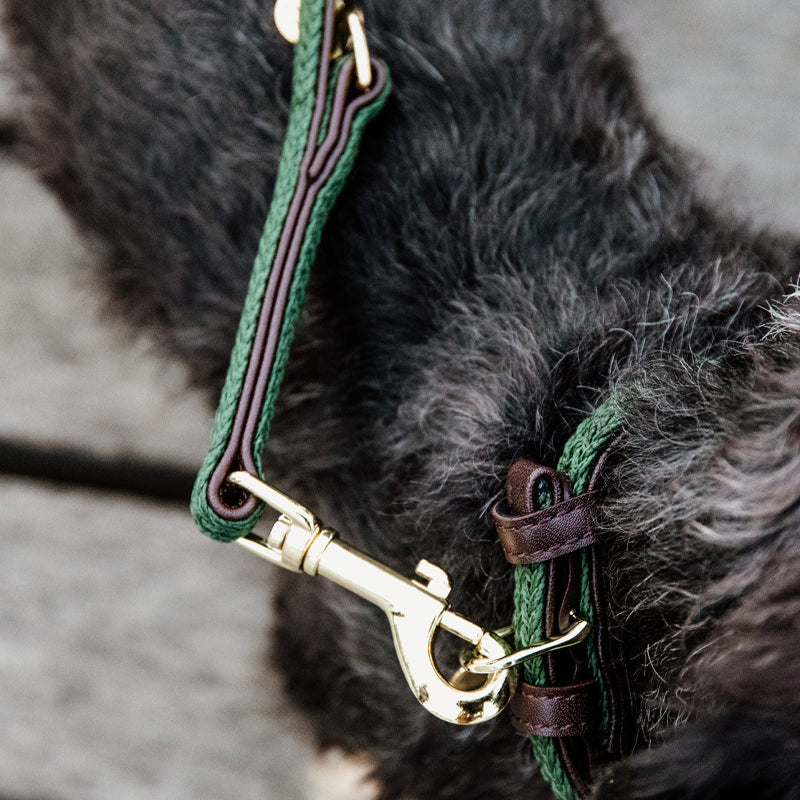 Kentucky Dogwear - Braided Nylon Dog Lead Olive Green | - Ohlala