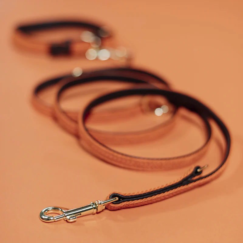 Kentucky Dogwear - Orange Braided Nylon Dog Lead | - Ohlala