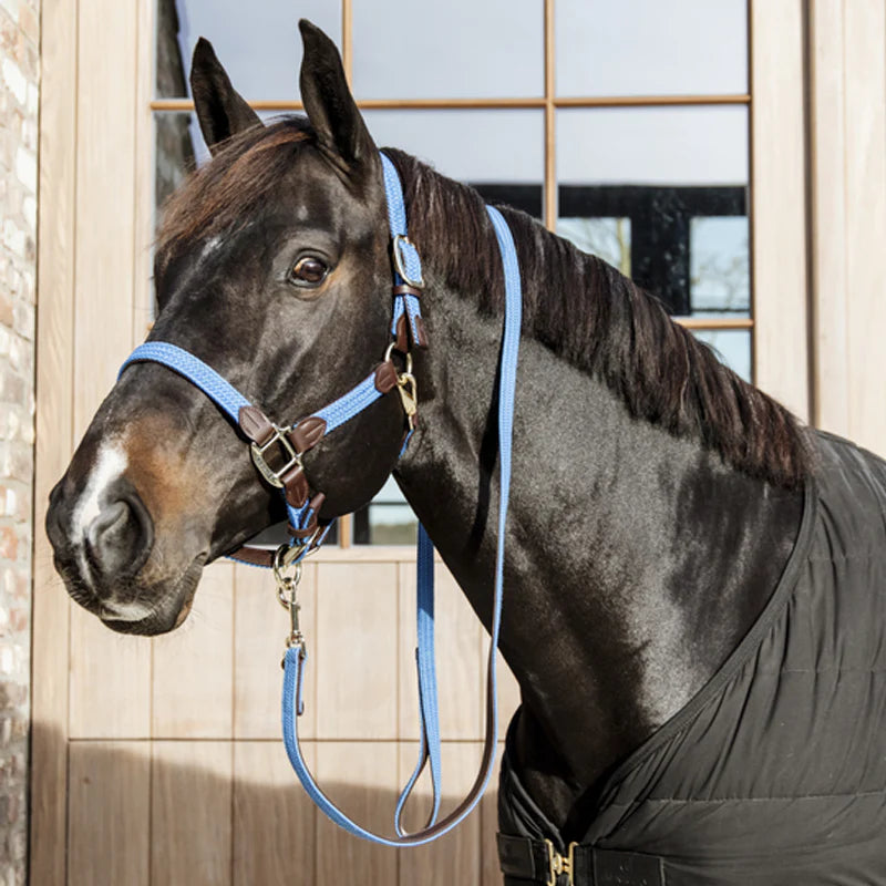 Kentucky Horsewear - Gevlochten nylon halster lichtblauw | - Ohlala
