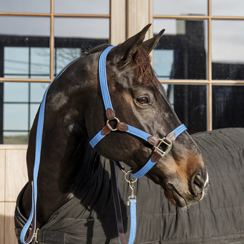 Kentucky Horsewear - Gevlochten nylon halster lichtblauw | - Ohlala