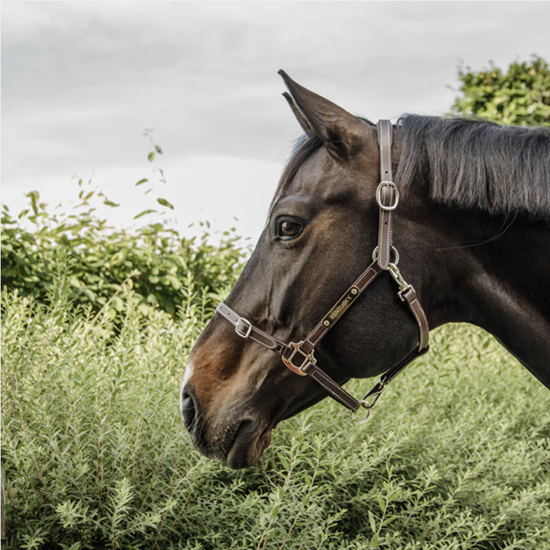 Kentucky Horsewear - Cabeçada em couro flexível neck piece chocolate | - Ohlala