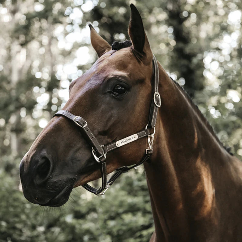 Kentucky Horsewear - Cabeçada em couro flexível neck piece chocolate | - Ohlala
