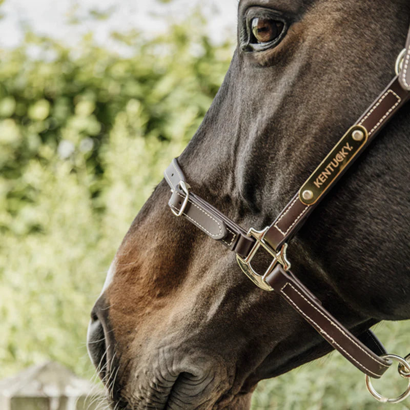Kentucky Horsewear - Cabeçada em couro flexível neck piece chocolate | - Ohlala