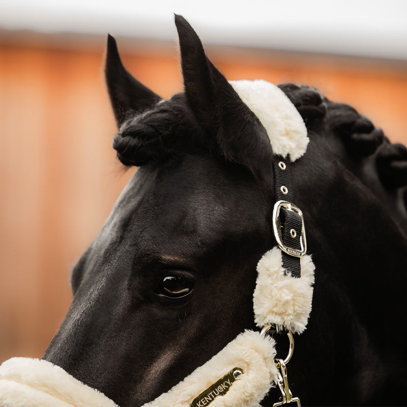 Kentucky Horsewear - ホワイトシープスキン 輸送用ホルター | - Ohlala
