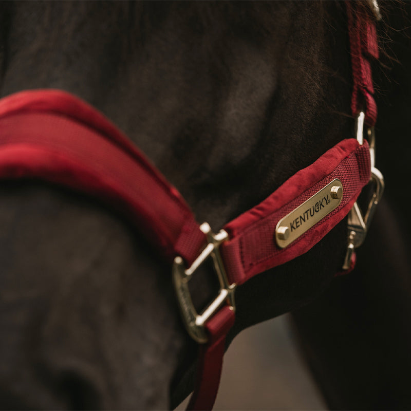 Kentucky Horsewear - Halster velvet bordeaux | - Ohlala