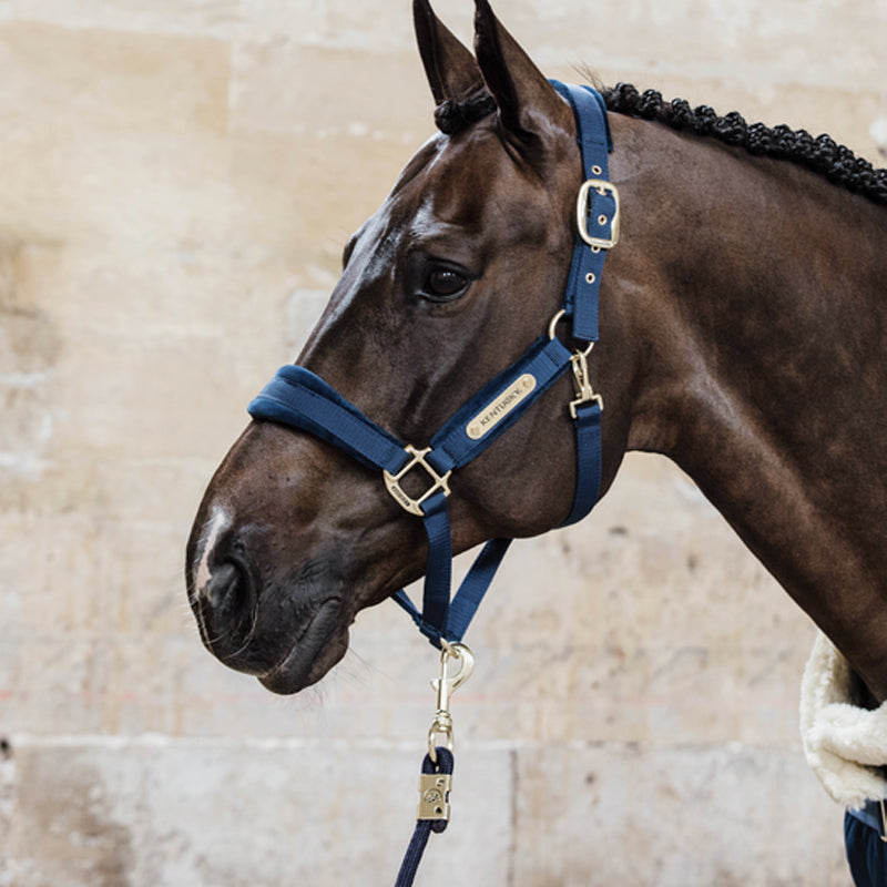 Kentucky Horsewear - Navy velvet headcollar | - Ohlala
