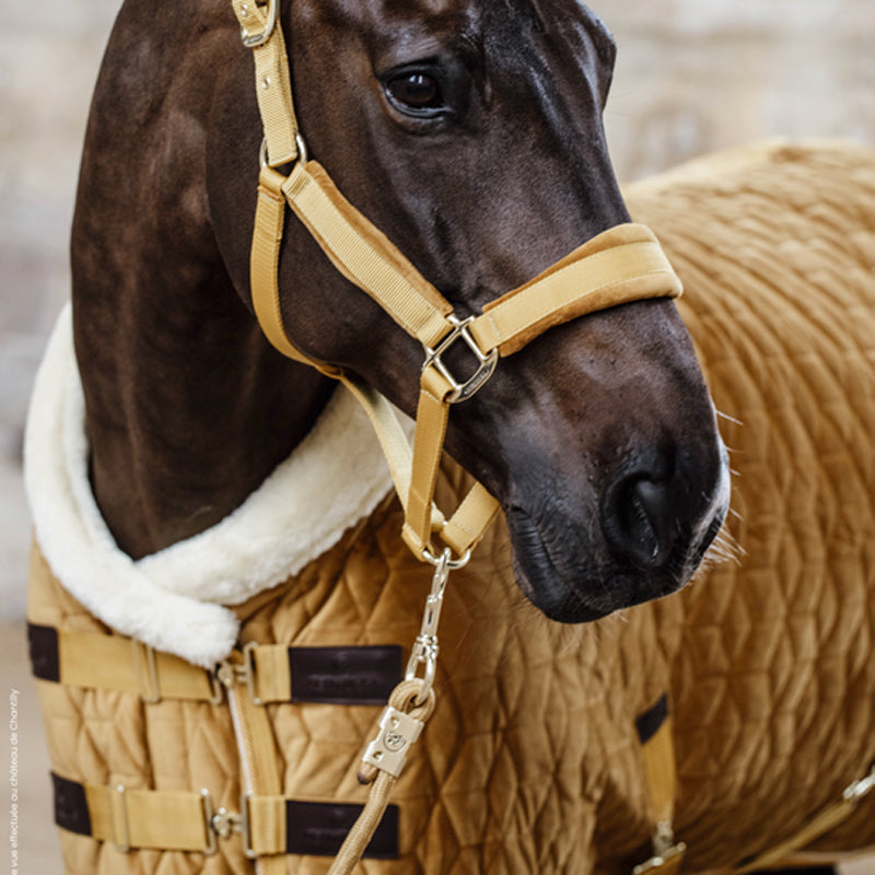 Kentucky Horsewear - Velvet Halfter senf | - Ohlala