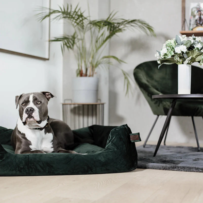 Kentucky Dogwear - Velvet dog bed forest green | - Ohlala