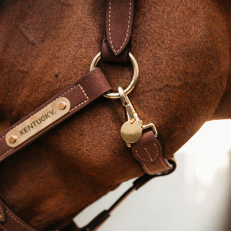 Kentucky Horsewear - Halter/Bridle Medal | - Ohlala