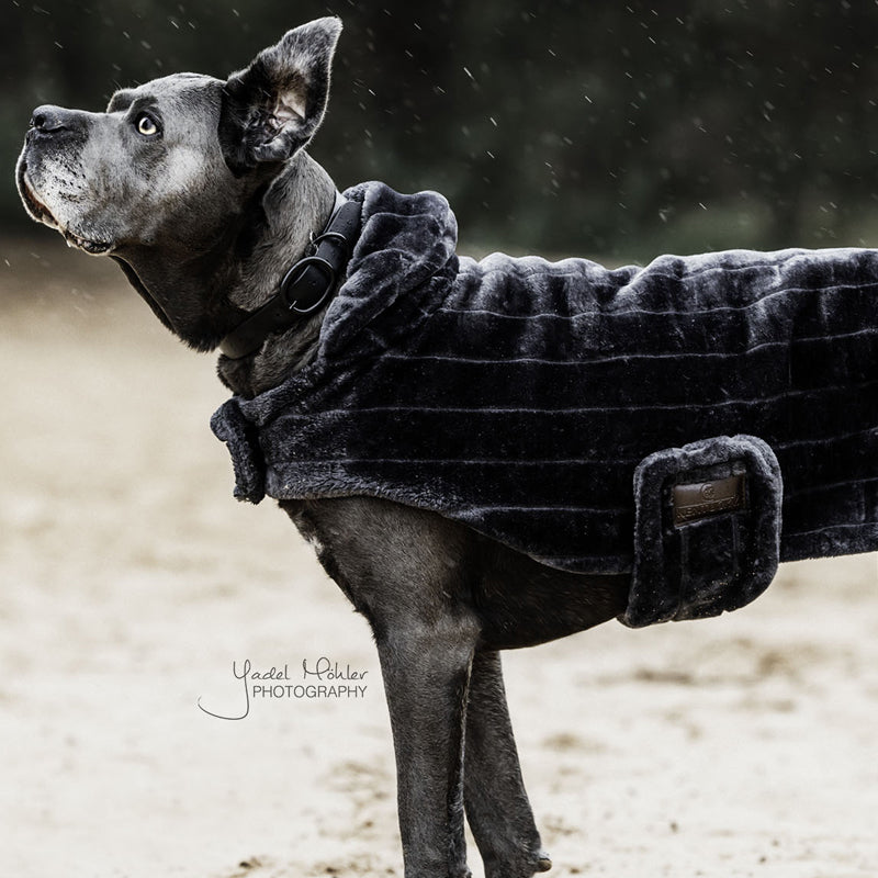 Kentucky Dogwear - Dog coat Faux Fur grey | - Ohlala