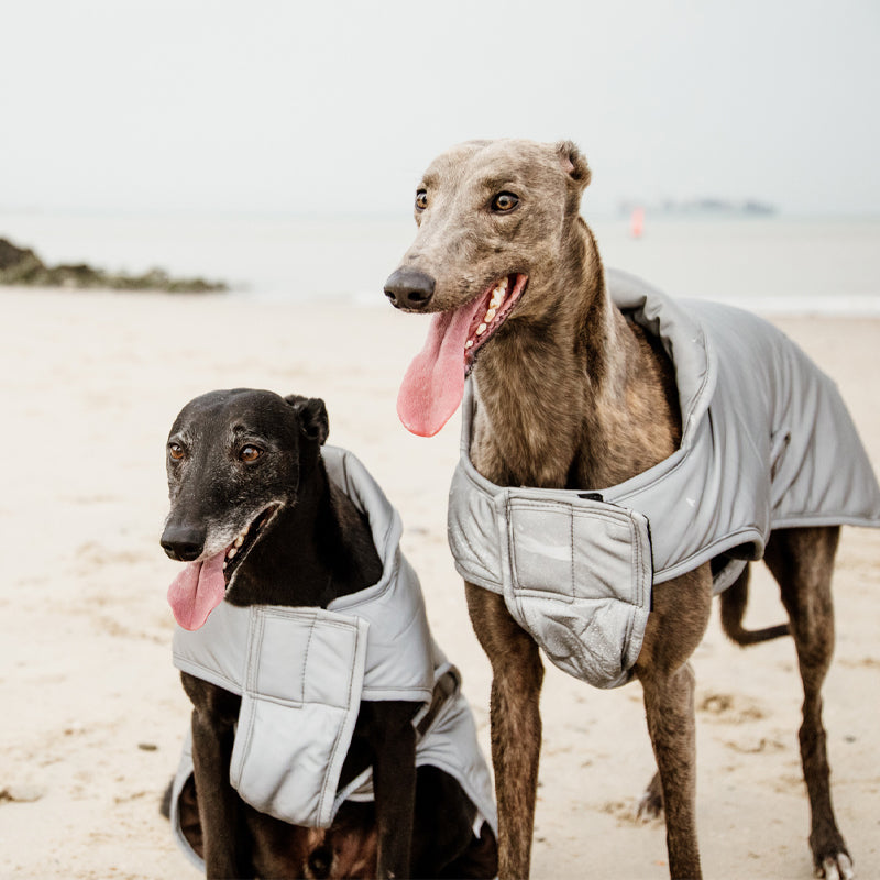 Kentucky Dogwear - Cappotto riflettente e impermeabile per cane con protezione ventrale 150g | - Ohlala