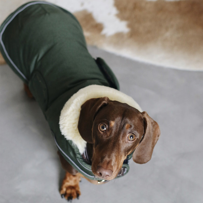 Kentucky Dogwear - Waterproof dog coat | - Ohlala