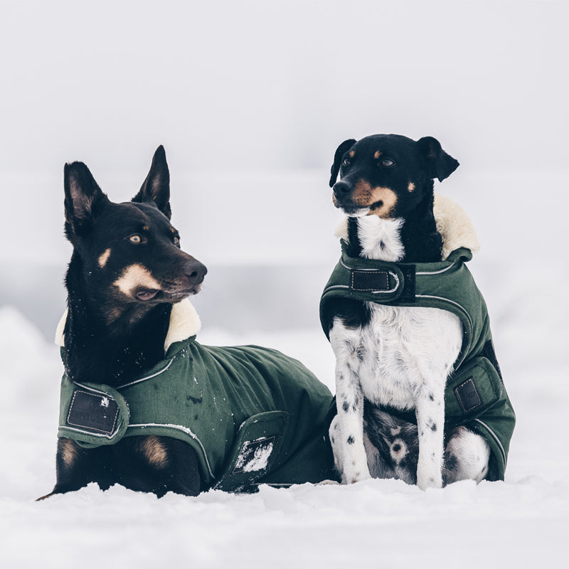 Kentucky Dogwear - Waterproof dog coats | - Ohlala