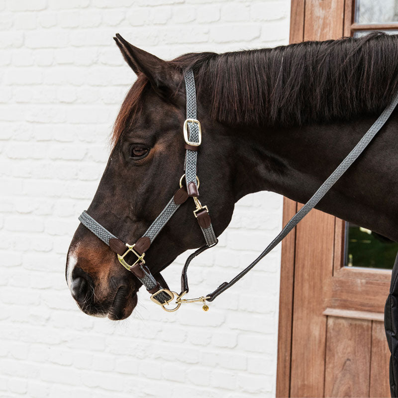 Kentucky Horsewear - Braided nylon horse halter grey | - Ohlala