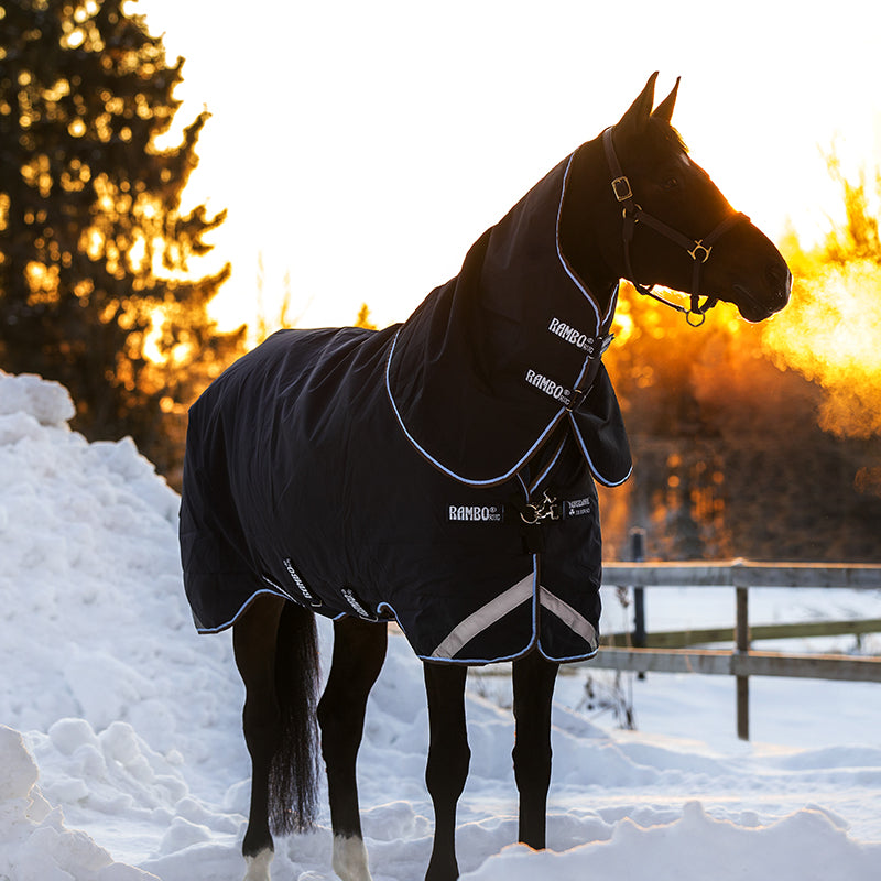 Horseware - Turnout Rug Rambo Duo navy/ sky blue/ brown 100g + 300g | - Ohlala