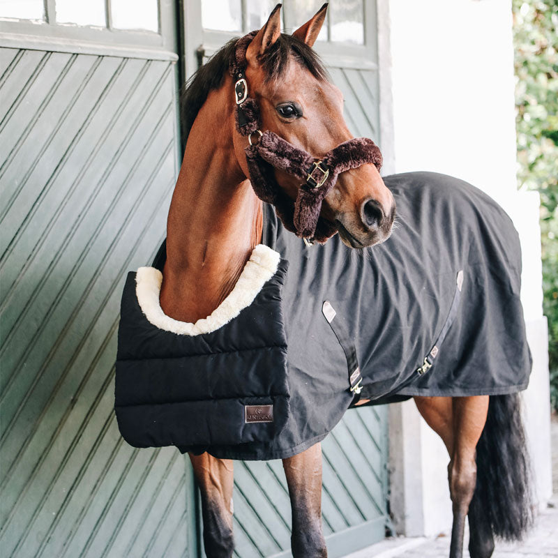 Kentucky Horsewear - BIB Protector de pecho/cruz negro | - Ohlala