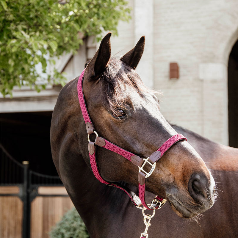 Kentucky Horsewear - Braided nylon halter bordeaux | - Ohlala