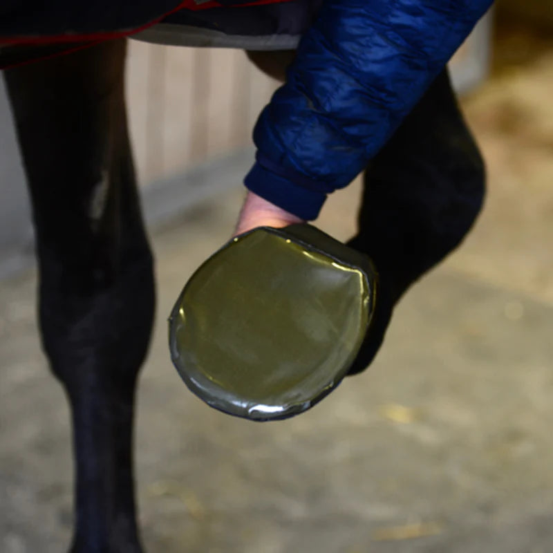 Kentucky Horsewear - Hufschutz (x5) | - Ohlala