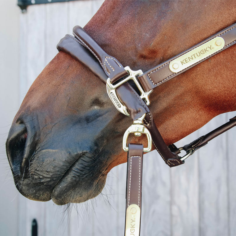 Kentucky Horsewear - レザーカバー付きプレゼンテーション用ロンジ | - Ohlala