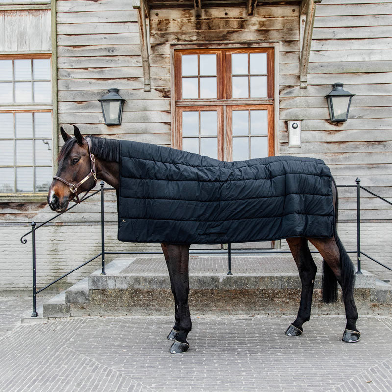 Kentucky Horsewear - Unterdecken Schwarz 300g | - Ohlala