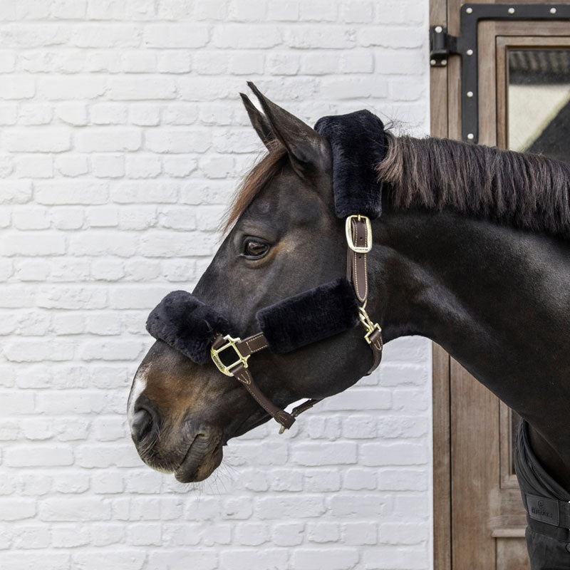 Kentucky Horsewear - Lammfell-Halfterpolster Schwarz 4 Stück | - Ohlala