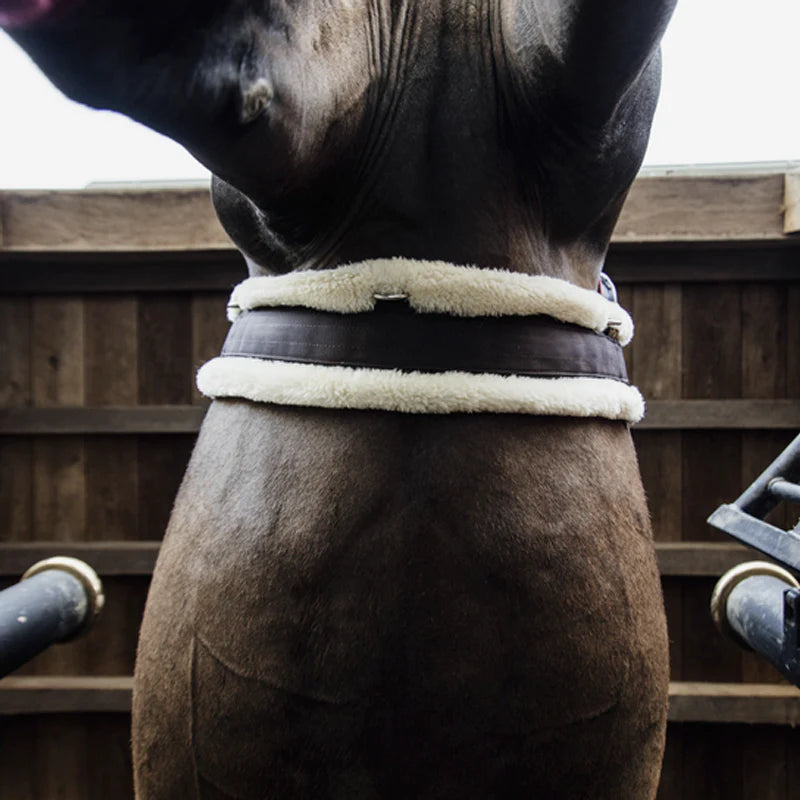 Kentucky Horsewear - Cinghia montone classica choco | - Ohlala