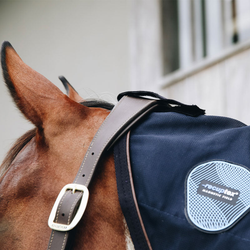 Kentucky Horsewear - Coprispalla Recuptex blu navy | - Ohlala