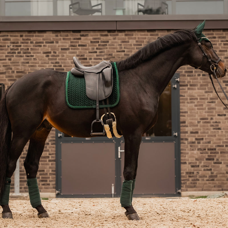 Kentucky Horsewear - Sudadero de doma Velvet Pearls verde abeto | - Ohlala