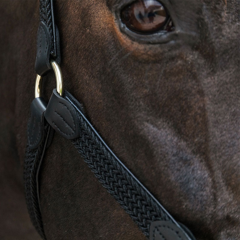 Kentucky Horsewear - Braided nylon horse halter black | - Ohlala