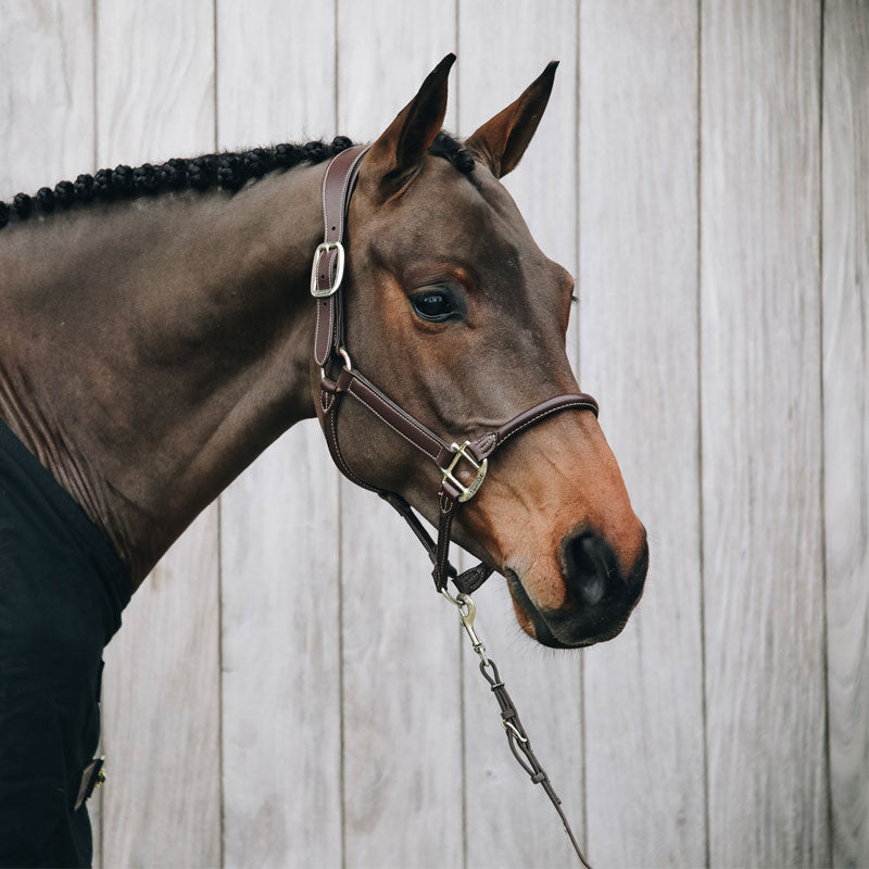Kentucky Horsewear - Cavezza cavallo anatomica | - Ohlala