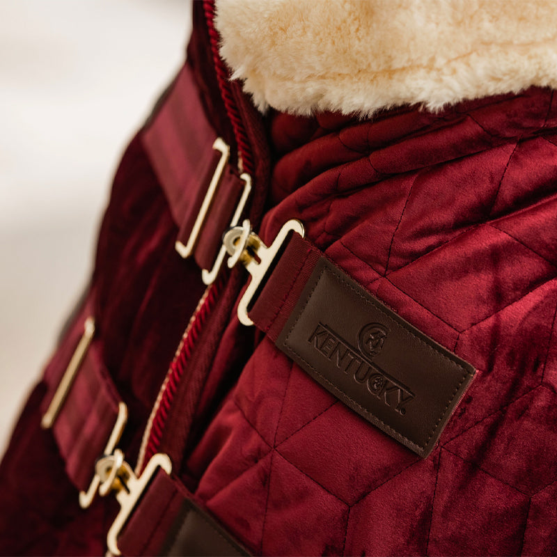 Kentucky Horsewear - Manta de presentación velvet burdeos 160g | - Ohlala