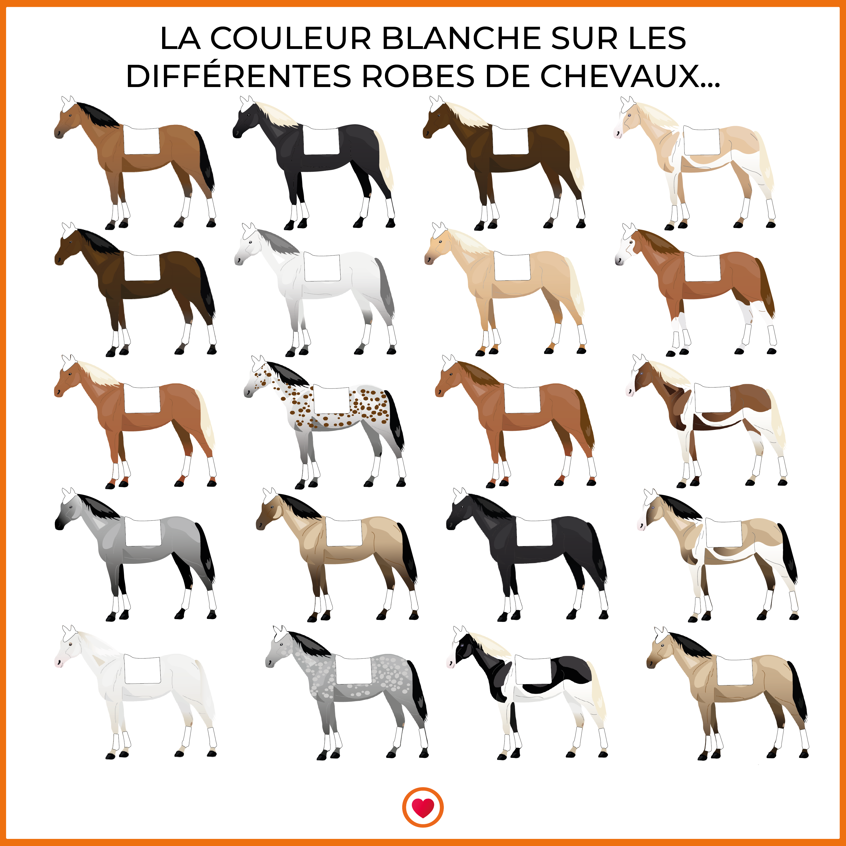 Privilège Equitation - Tapis de selle Daytona blanc/rouge | - Ohlala