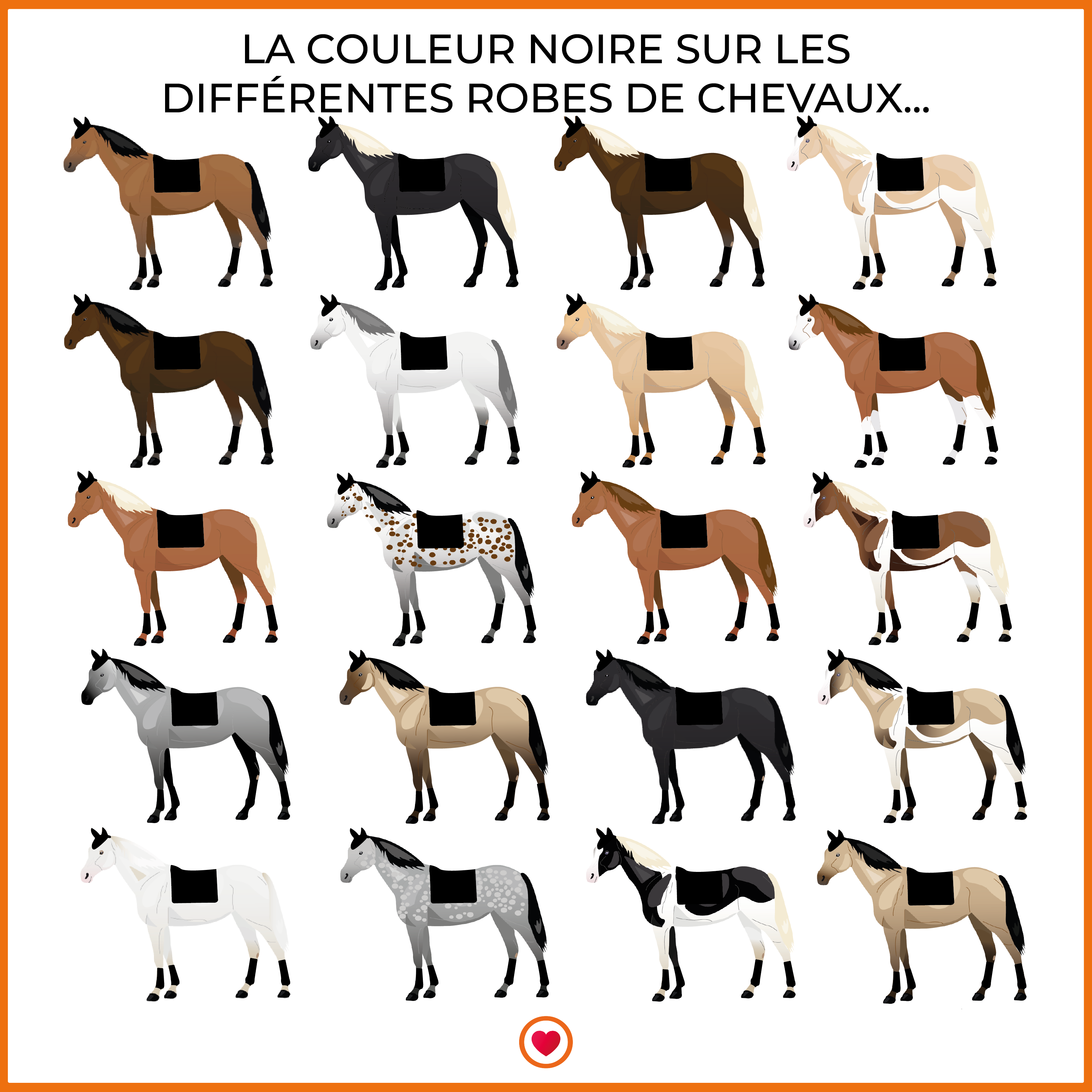 LeMieux - Tapis de selle GP Cotton Square noir | - Ohlala