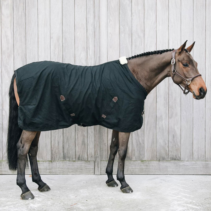 Kentucky Horsewear - Koszulka bawełniana czarna 0g | - Ohlala